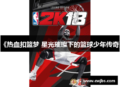 《热血扣篮梦 星光璀璨下的篮球少年传奇》