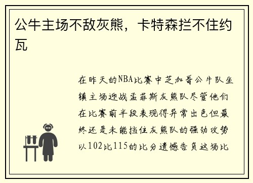 公牛主场不敌灰熊，卡特森拦不住约瓦